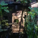 El Jardin de la Palapa