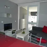 Suncanarias Estudio Drago 34