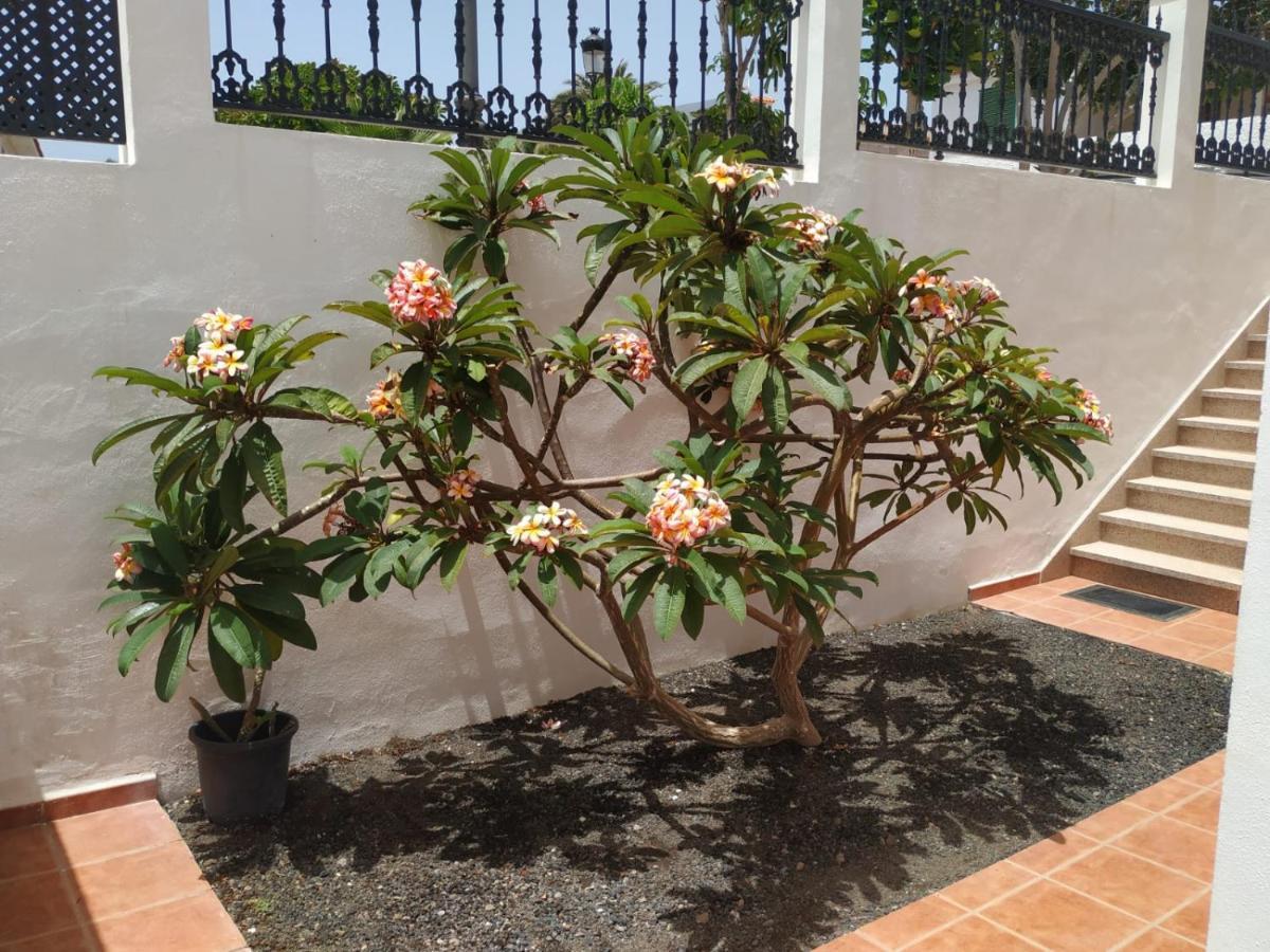 Punta Negra Apartment Puerto de Santiago (Tenerife)