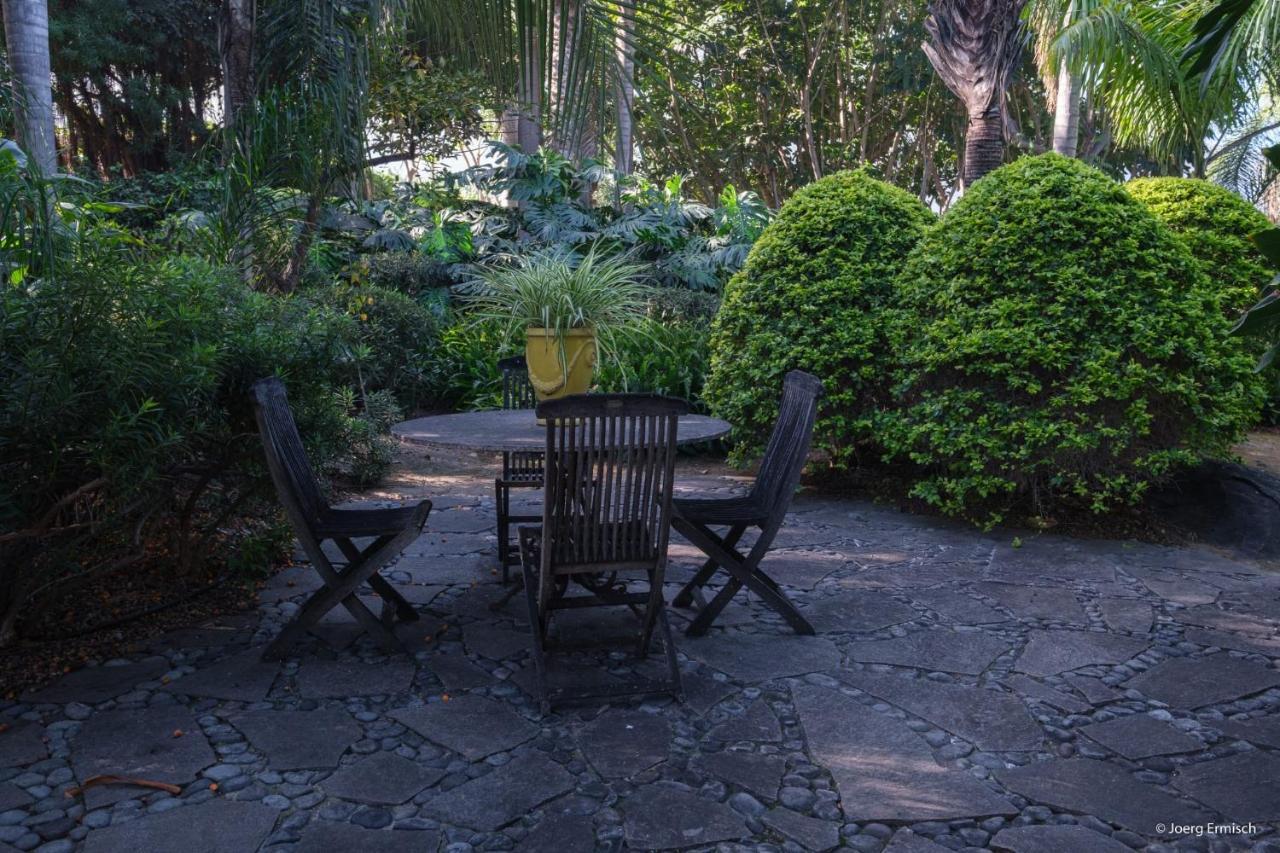 El Jardin De La Palapa Los Realejos