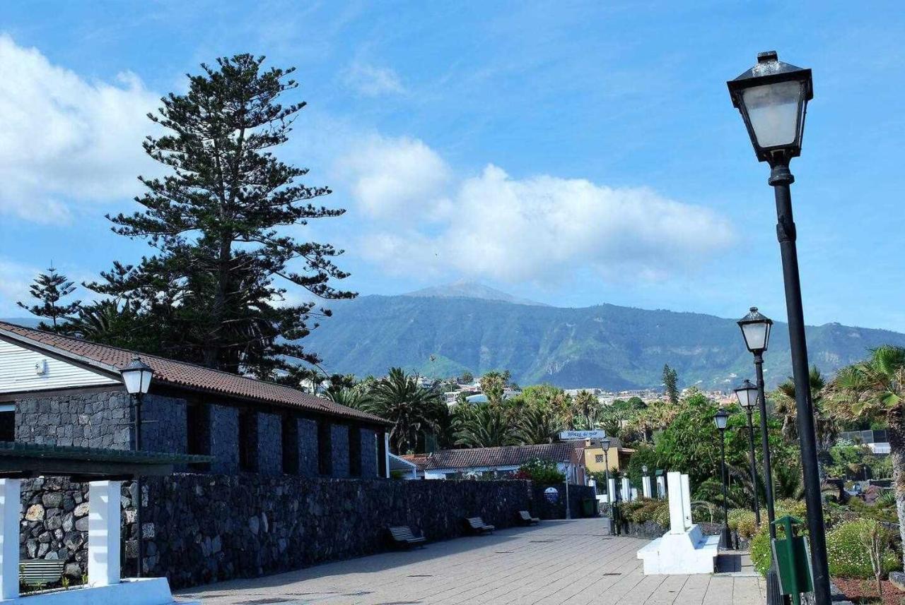 Apartamento Con Terraza Y Piscina C Appartement *