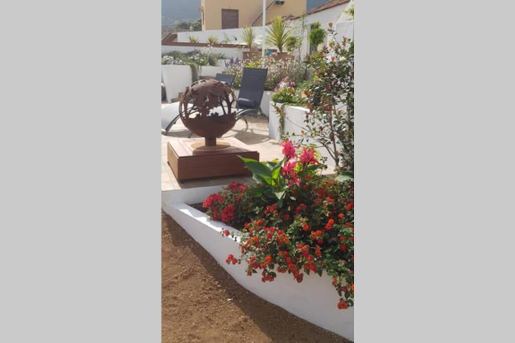 Casa Vina: A Spectacular Away From It * La Orotava