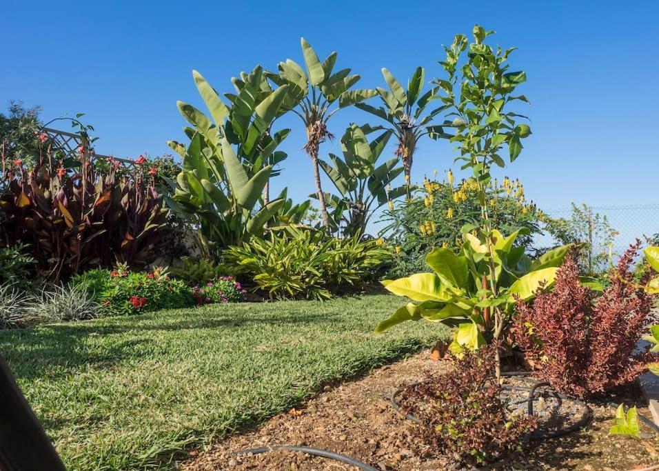 Villa Casa Vina: A Spectacular Away From It *