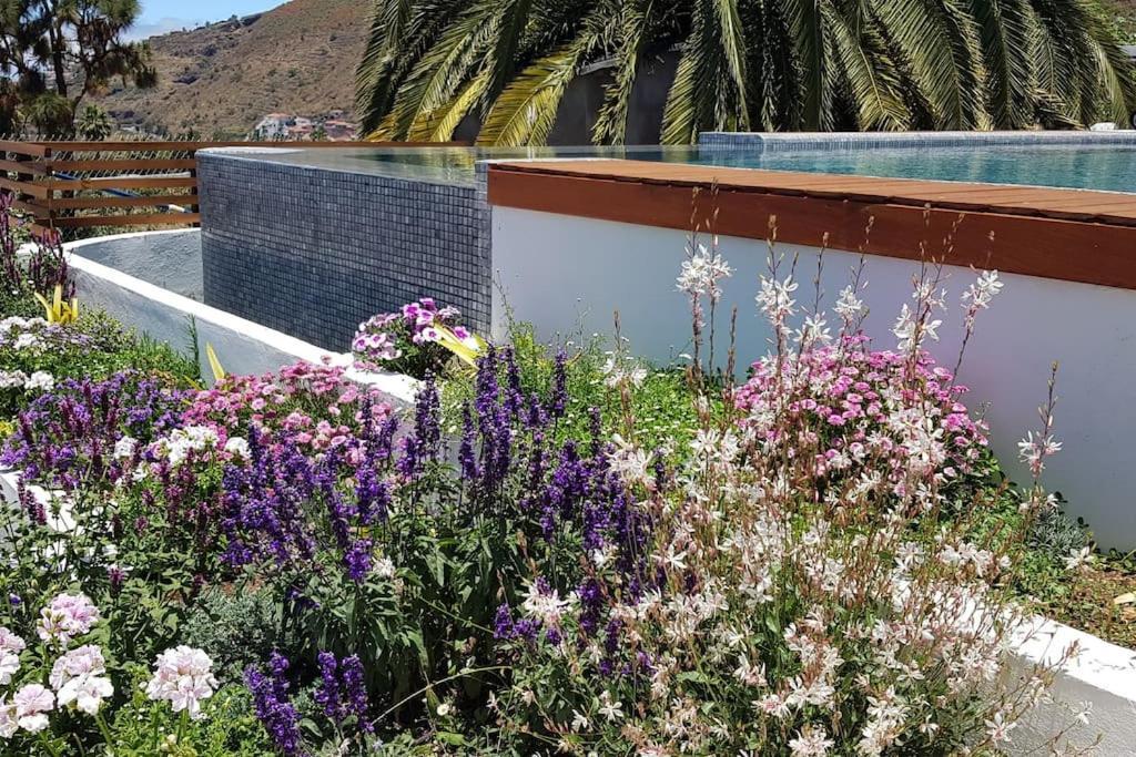 Casa Vina: A Spectacular Away From It *