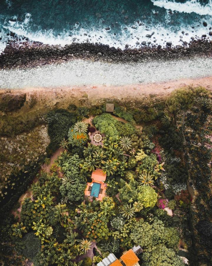 El Jardin De La Palapa Los Realejos