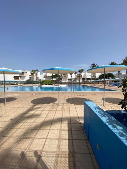 Deniz Sur - Bel Arona (Tenerife)