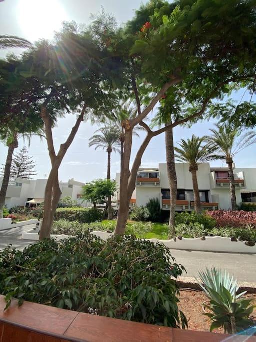 Deniz Sur - Bel Appartement Arona (Tenerife)