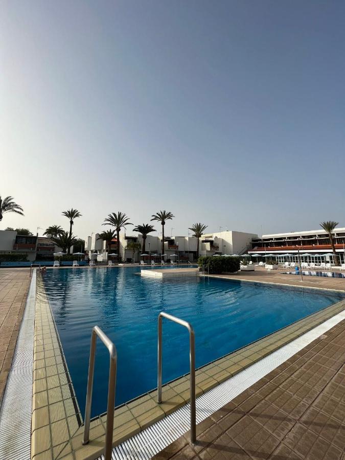 Deniz Sur - Bel *