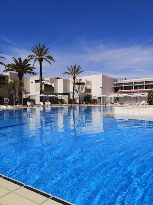 Deniz Sur - Bel * Arona (Tenerife)