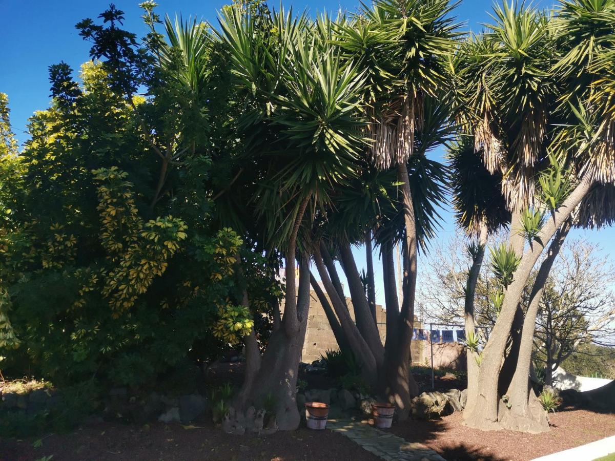 Holiday home La Rosa Vieja