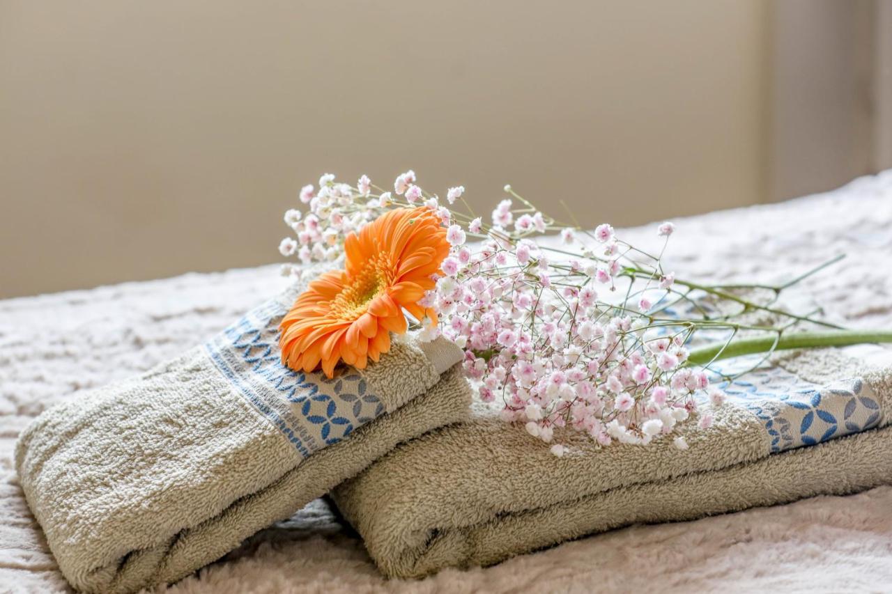 Summer Flower Apartment, Park Albatros, Close To The Ocean,golf Del Sur