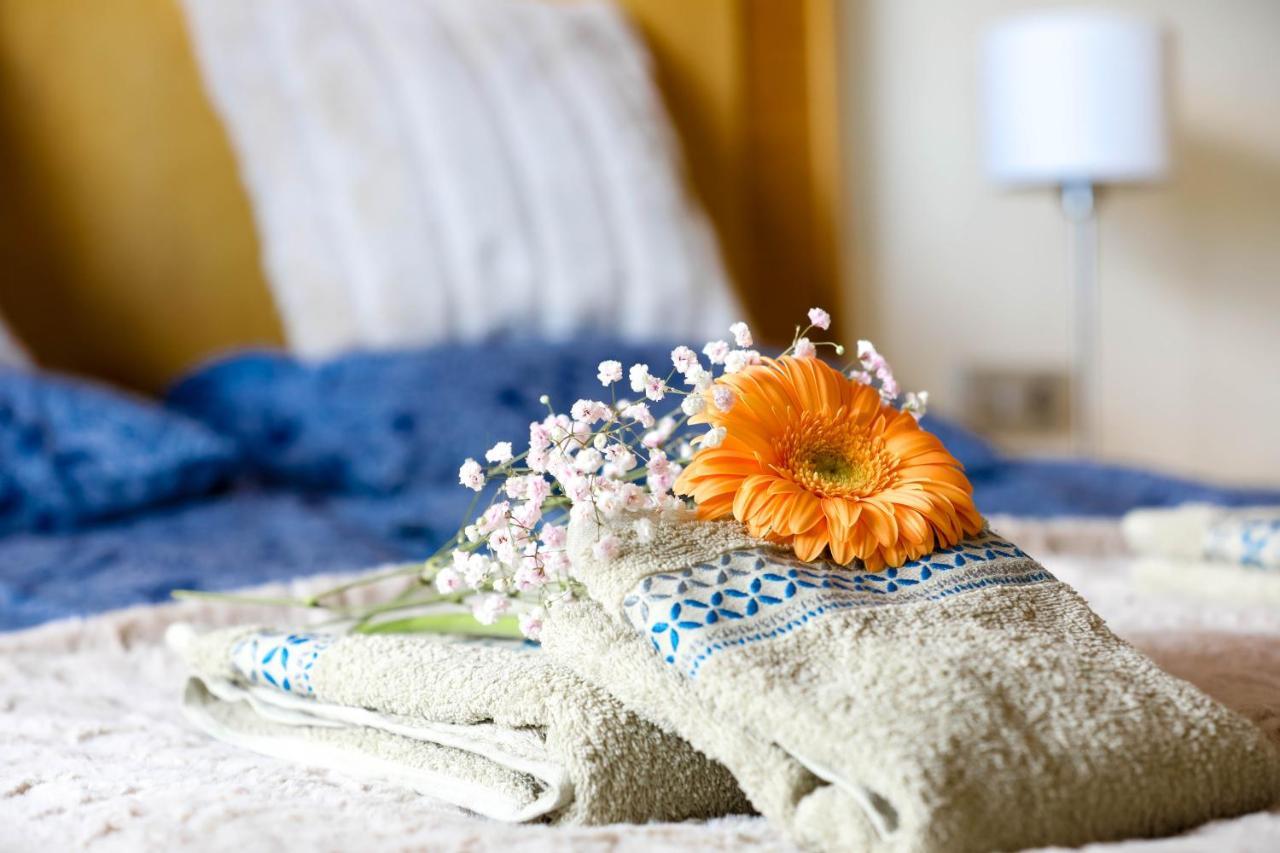 Summer Flower Apartment, Park Albatros, Close To The Ocean,golf Del Sur *