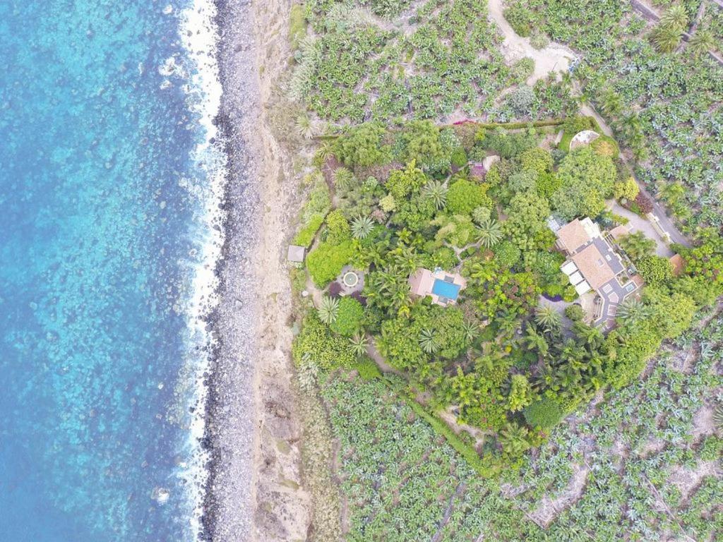 El Jardin De La Palapa Villa Los Realejos