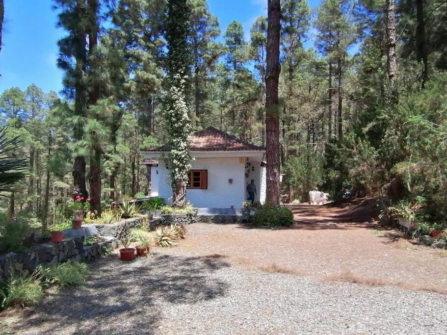 Floral Garden House