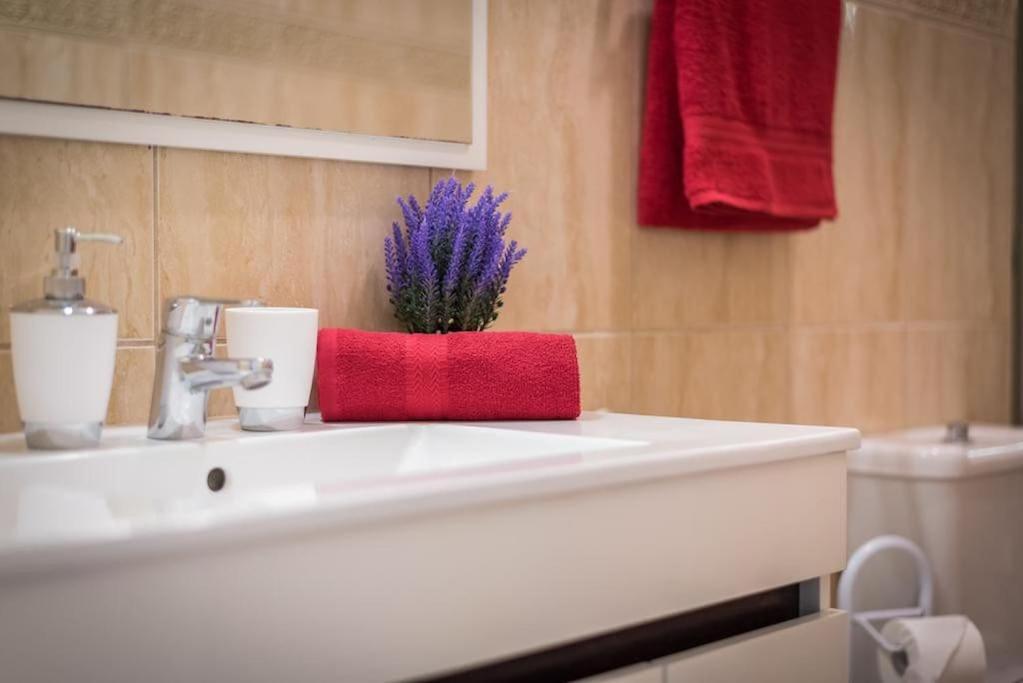 Appartement Jacaranda *