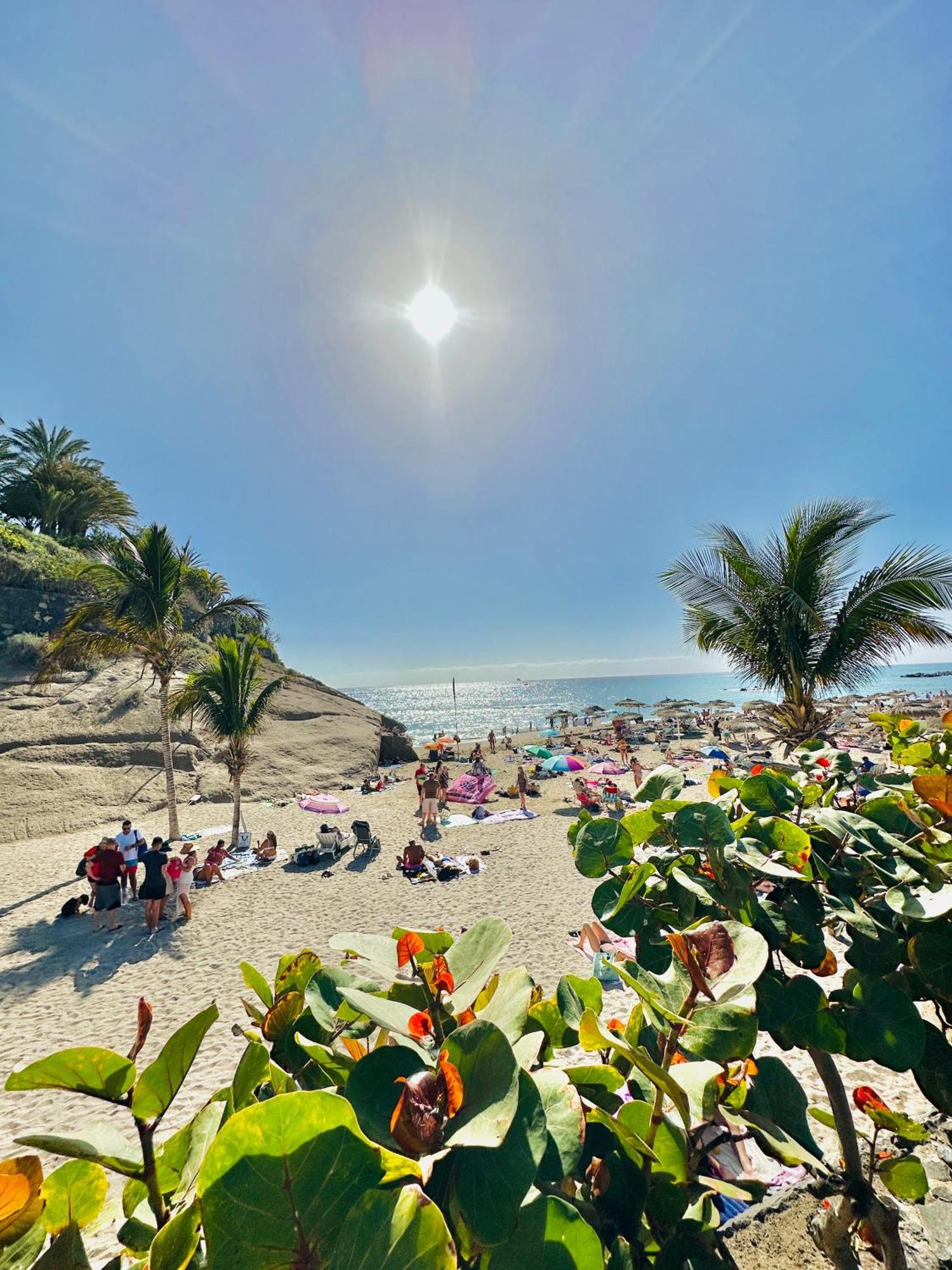 Apartamento Luxury Fanabe With Private Garden Costa Adeje (Tenerife)