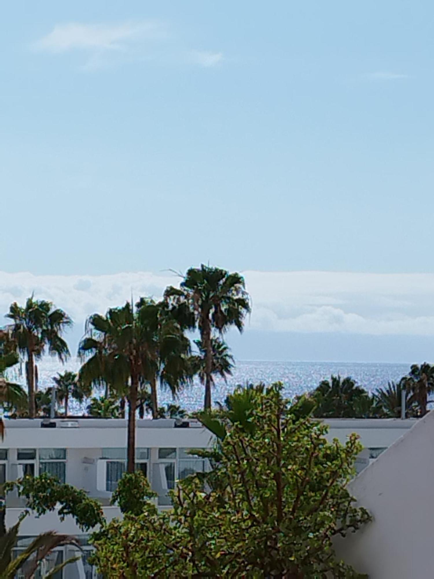 Garden Appartement Costa Adeje (Tenerife)
