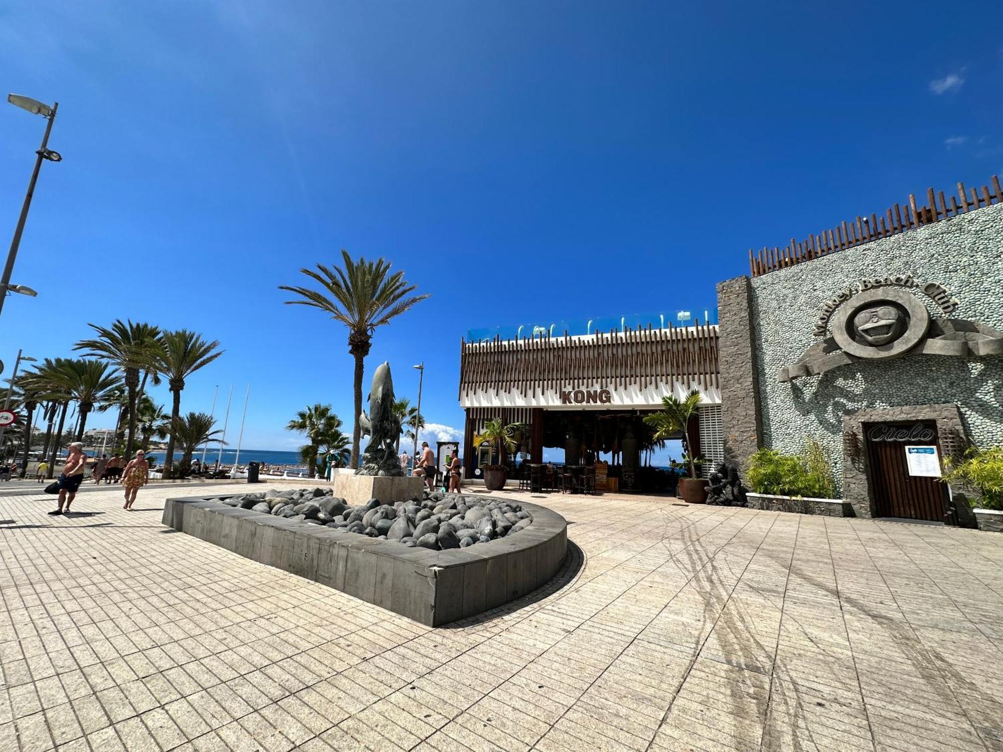 Playa Paradise Appartement
