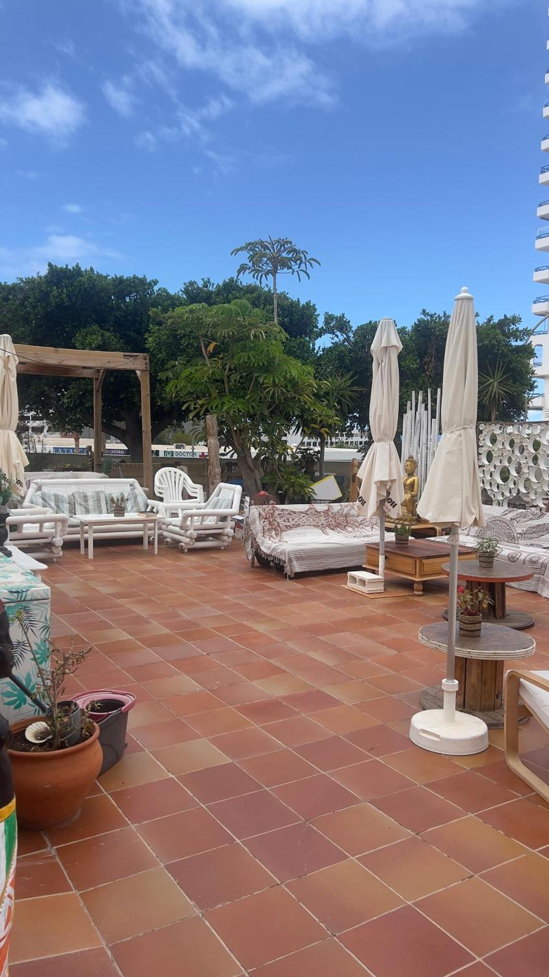 Cozy Ocean View 1 Bdr Apt, Club Paraiso