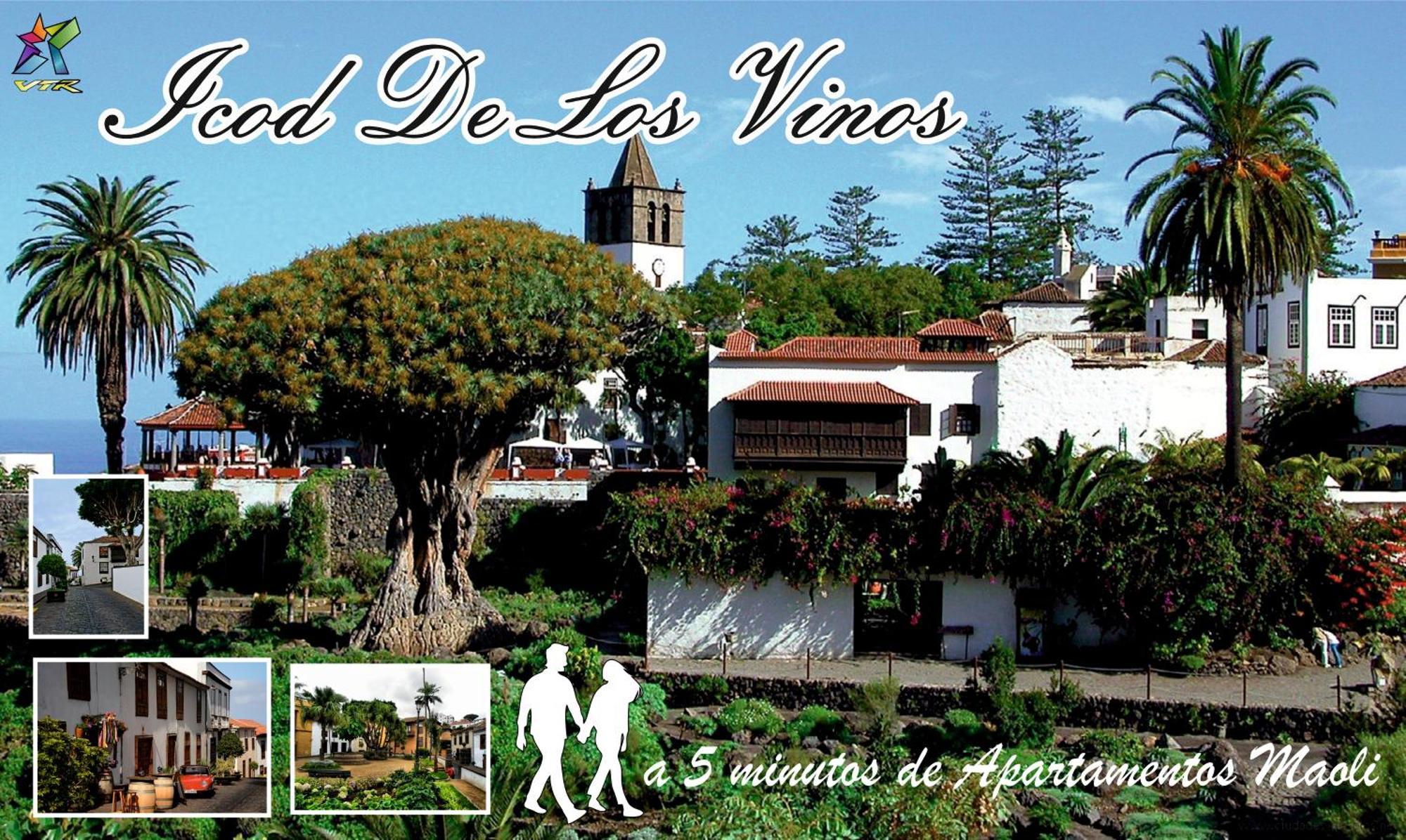 Apartamento Maoli B Icod De Los Vinos