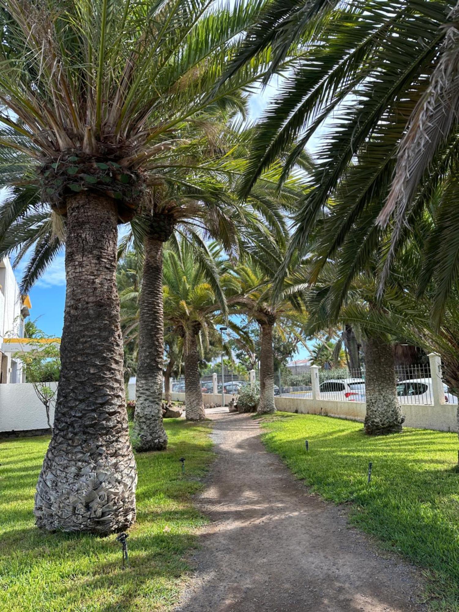 Hercules 2 Bedroom Apartment, * Costa Del Silencio