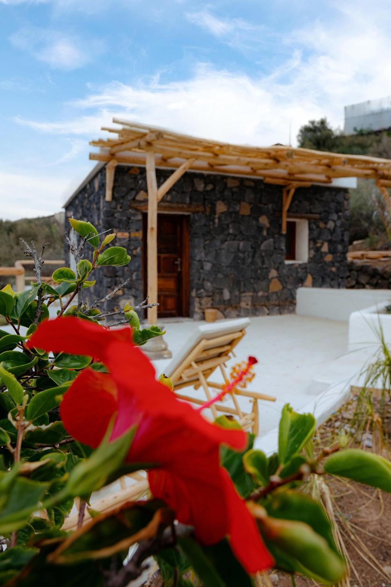 Boutique Eco Costa Magica * La Laguna (Tenerife)