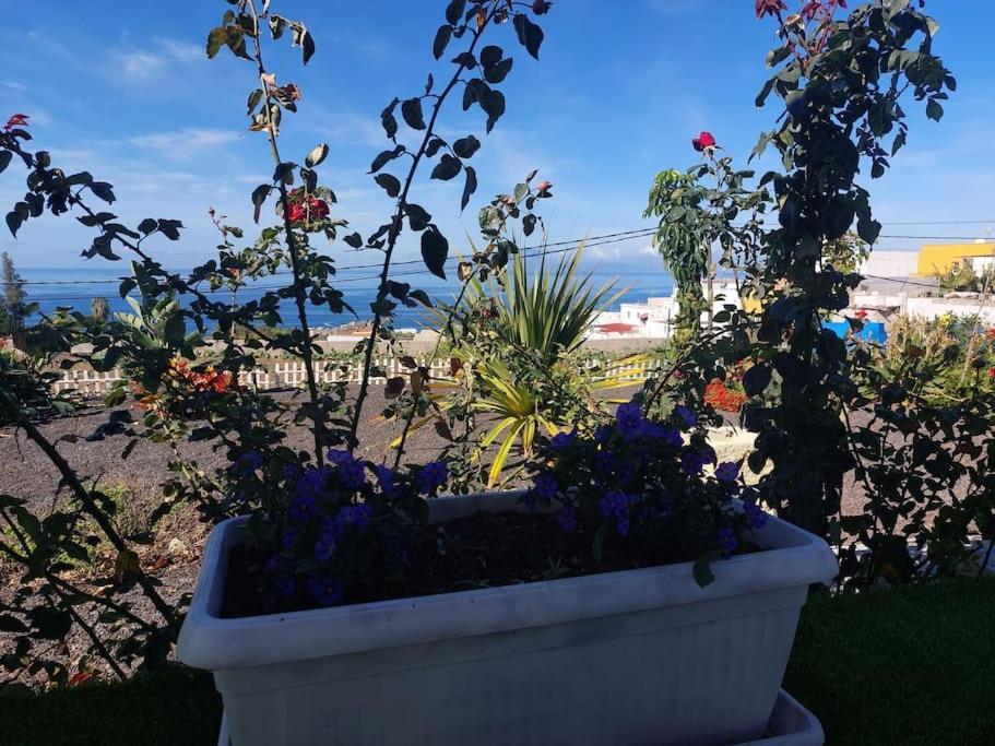 Mariposa Relax En Medio De La Naturaleza Сasa de vacaciones