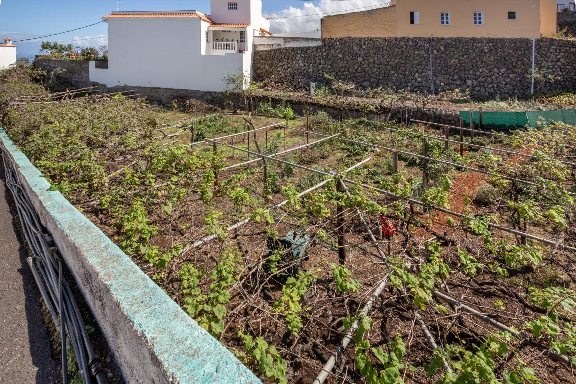 Un Jardin Al Mar Genoves