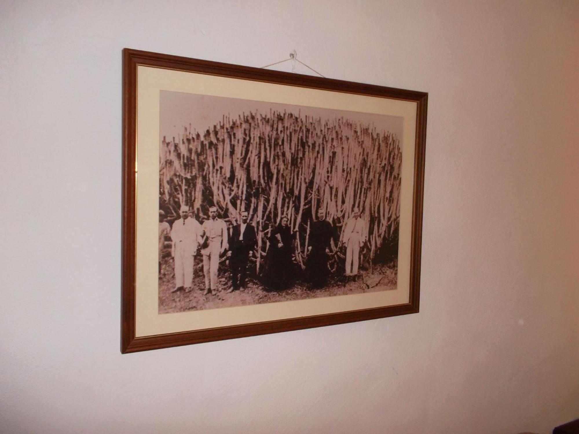 House El Cardon B2 In Holiday home