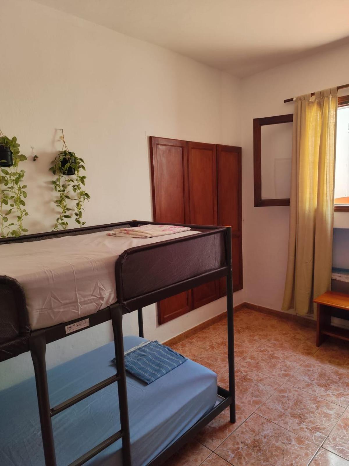 Banana Surf House Guest house Los Cristianos (Tenerife)
