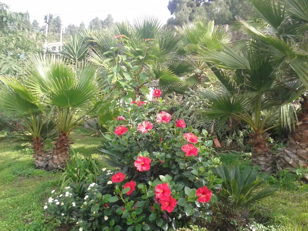 Holiday home Finca Las Palmeras *