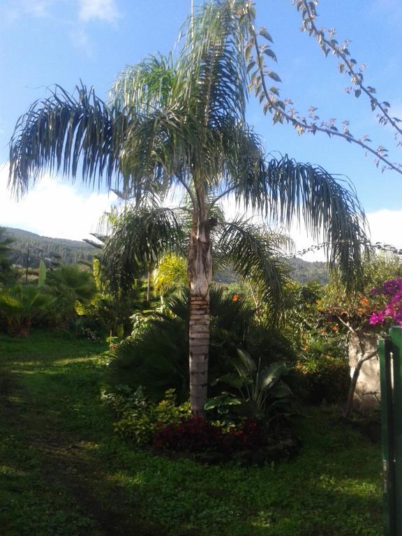 Finca Las Palmeras Holiday home Icod De Los Vinos