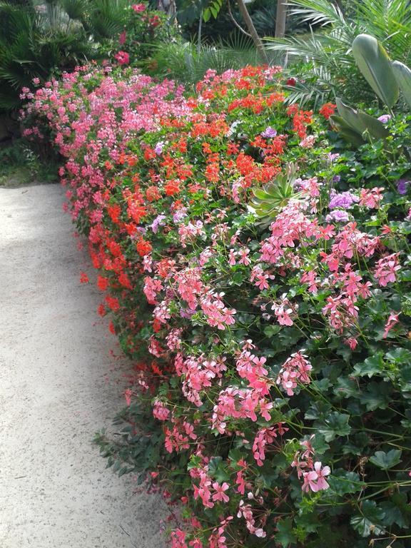 Holiday home Finca Las Palmeras *