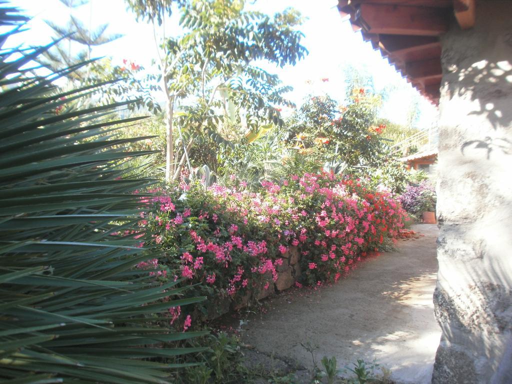 Holiday home Finca Las Palmeras