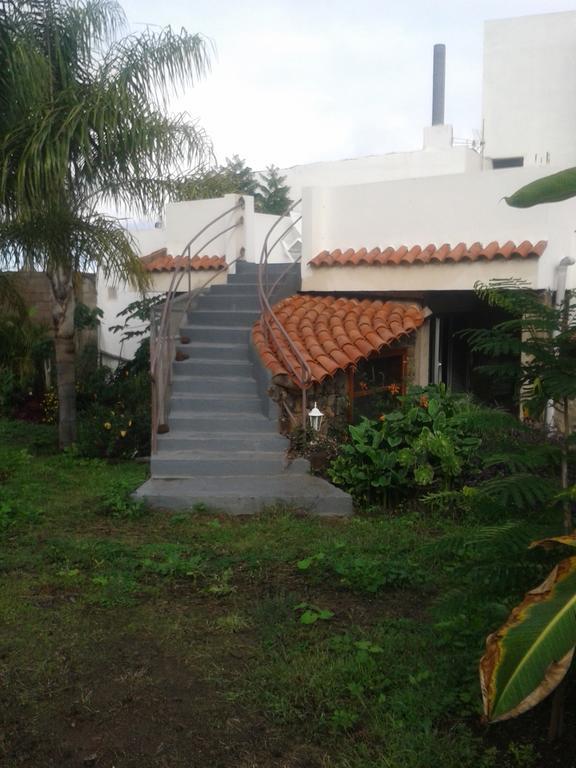 Finca Las Palmeras Holiday home *