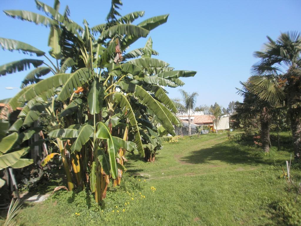 Finca Las Palmeras *