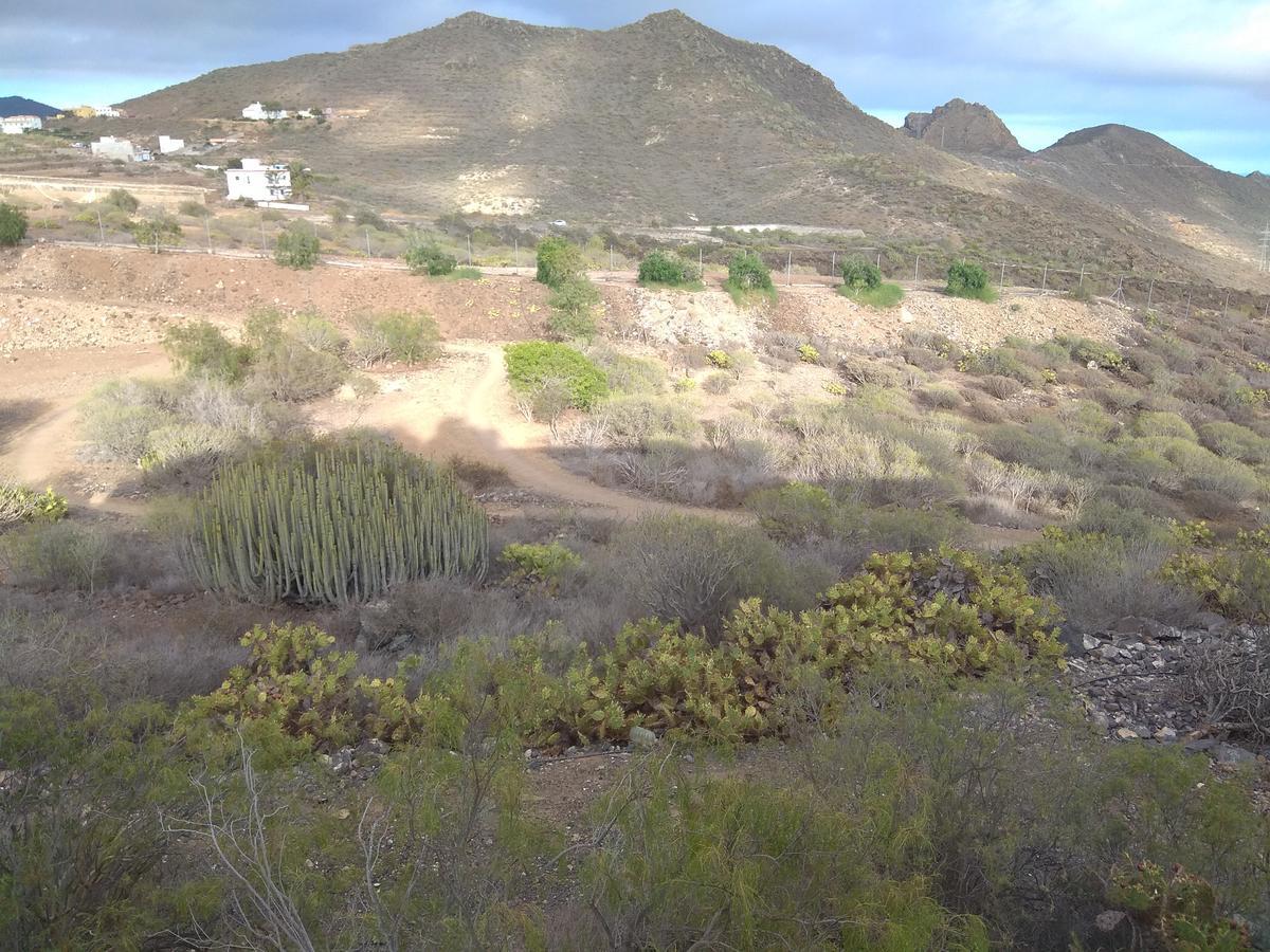 Maison d'hôtes El Cerro De La Luna Arona (Tenerife)