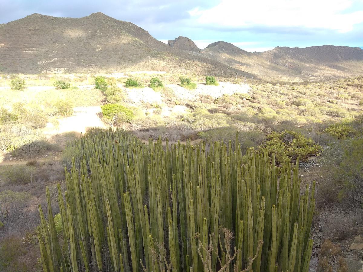El Cerro De La Luna Maison d'hôtes