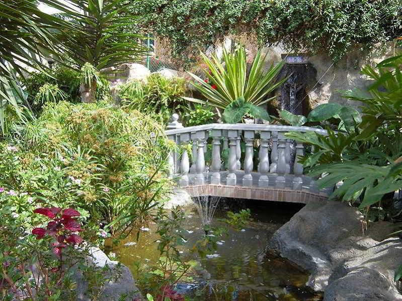Don Manolito Hotel Puerto de la Cruz (Tenerife)