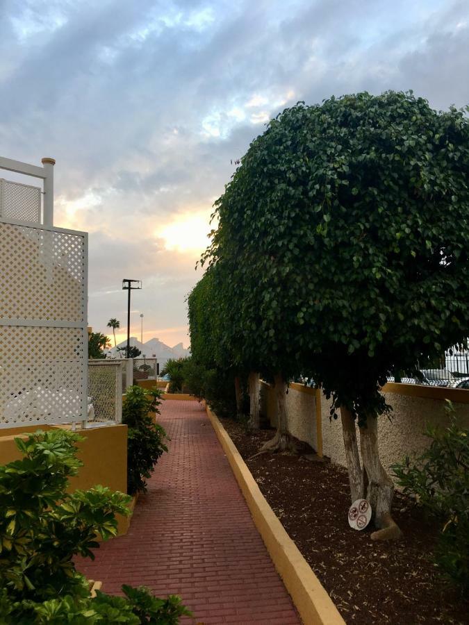 Apartment Orlando Tenerife *