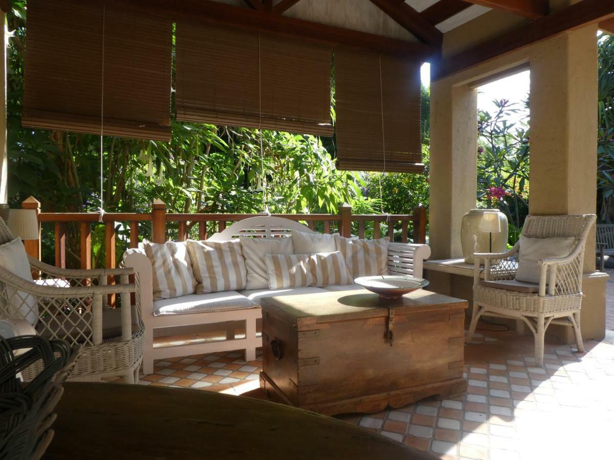 El Jardin De La Palapa Los Realejos