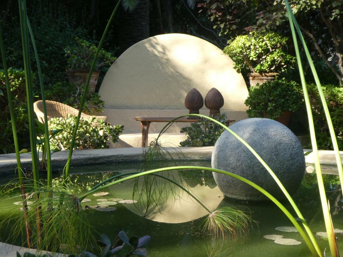 El Jardin De La Palapa Los Realejos