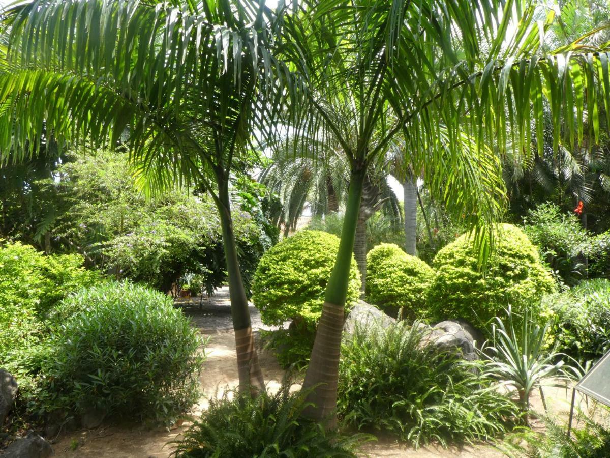 El Jardin De La Palapa *