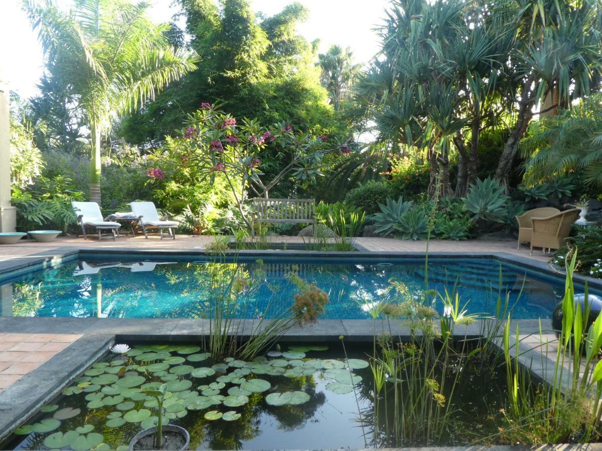 El Jardin De La Palapa