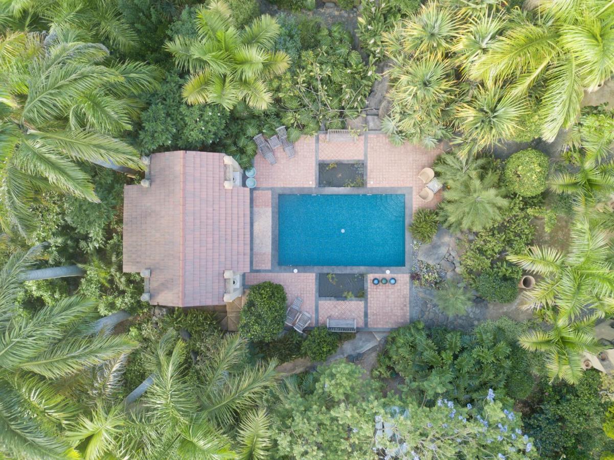 El Jardin De La Palapa Villa Los Realejos