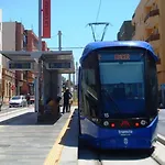 Cuestador