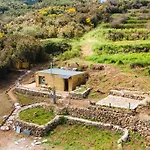 El Pino Centenario 3