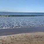 Surfers Nest El Medano