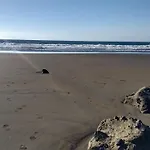 El Médano