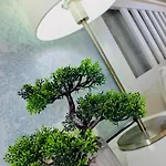 Harmony Apartments